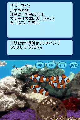 Image n° 3 - screenshots : Kokoro ga Uruou Birei Aquarium DS - Tetra - Guppy - Angelfish